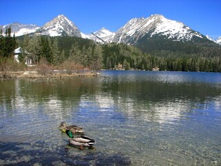 vysoké tatry štrbské pleso 1140px (SITA/Rastislav Ovšonka)